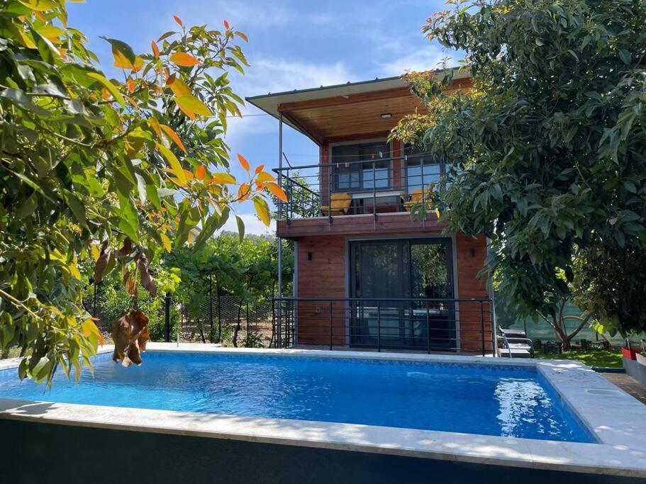Avohomes Bungalov *